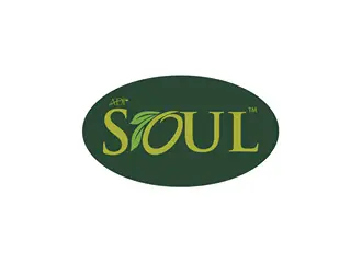 Soul